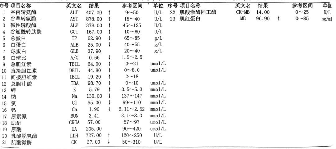 实验室主要检查