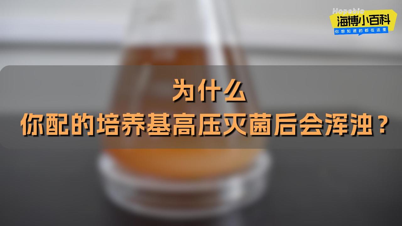 为什么你配的培养基高压灭菌后会浑浊？