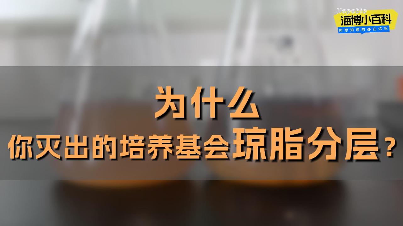 为什么你灭出的培养基会琼脂分层？