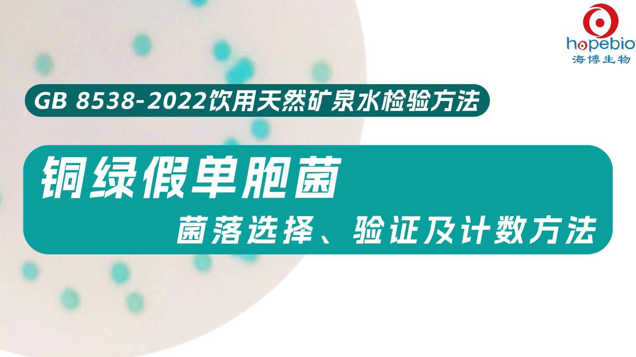 铜绿假单胞菌菌落选择、验证及计数方法