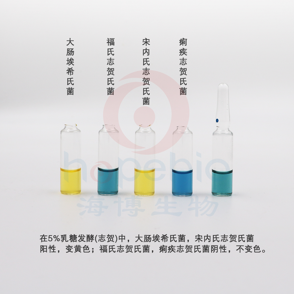 5%乳糖发酵（志贺）生化管