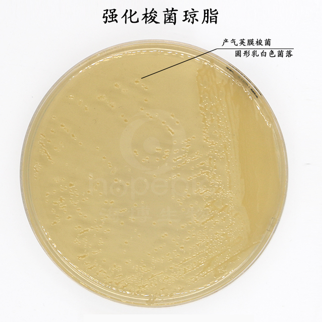 强化梭菌琼脂