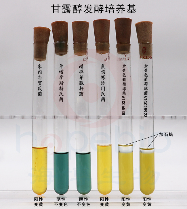 甘露醇发酵培养基