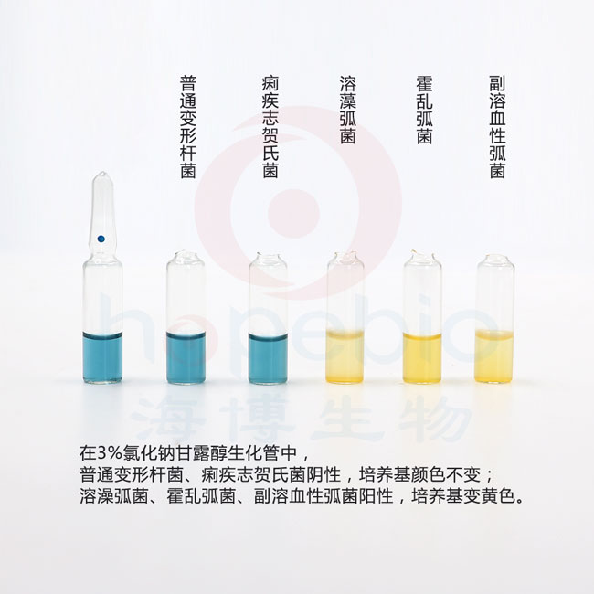 3%氯化钠甘露醇