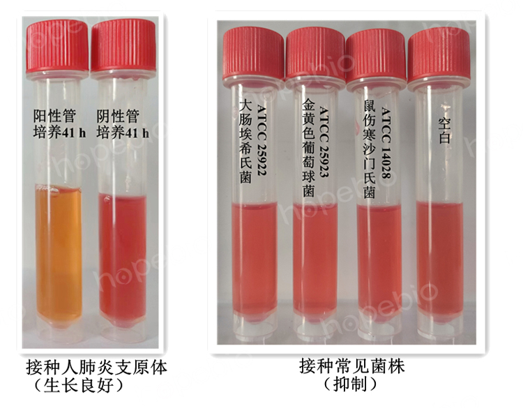 支原体采样管的质控结果