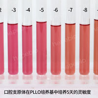 口腔支原体——pplo肉汤